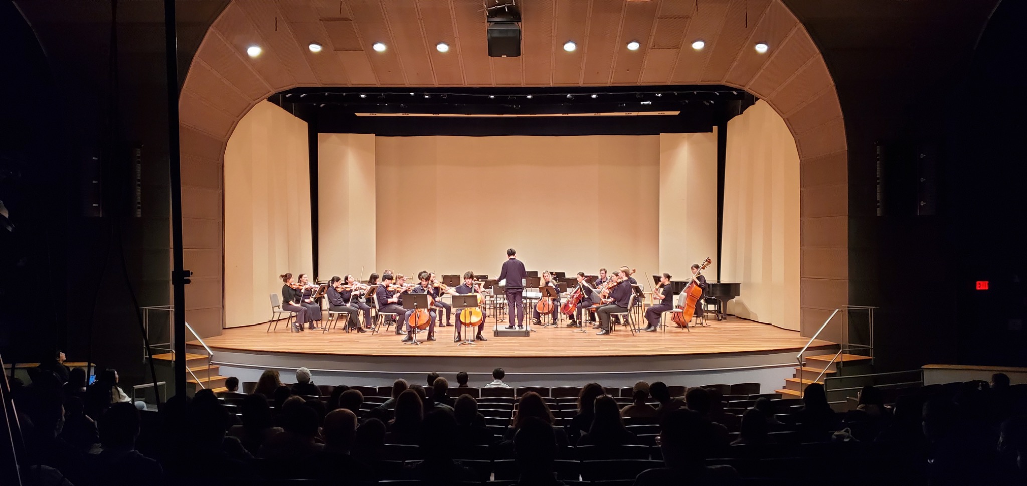 Cellists performing in a concert hall